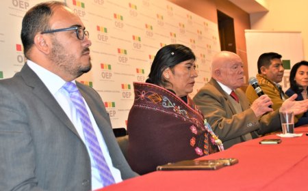 Oscar Hassenteufel continuará liderando el TSE como Presidente interino