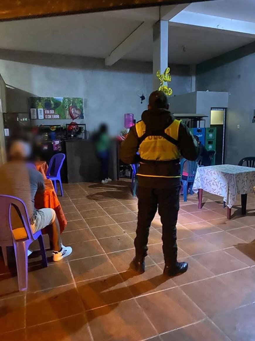 Autoridades aprehenden a dos personas en operativo nocturno en Tarija