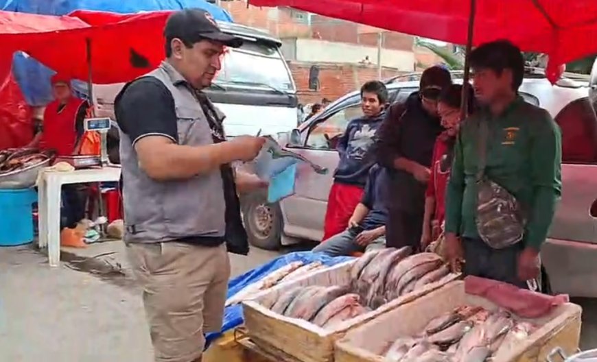 Operativo en el mercado El Dorado: decomisan sábalo por no cumplir con el tamaño reglamentario