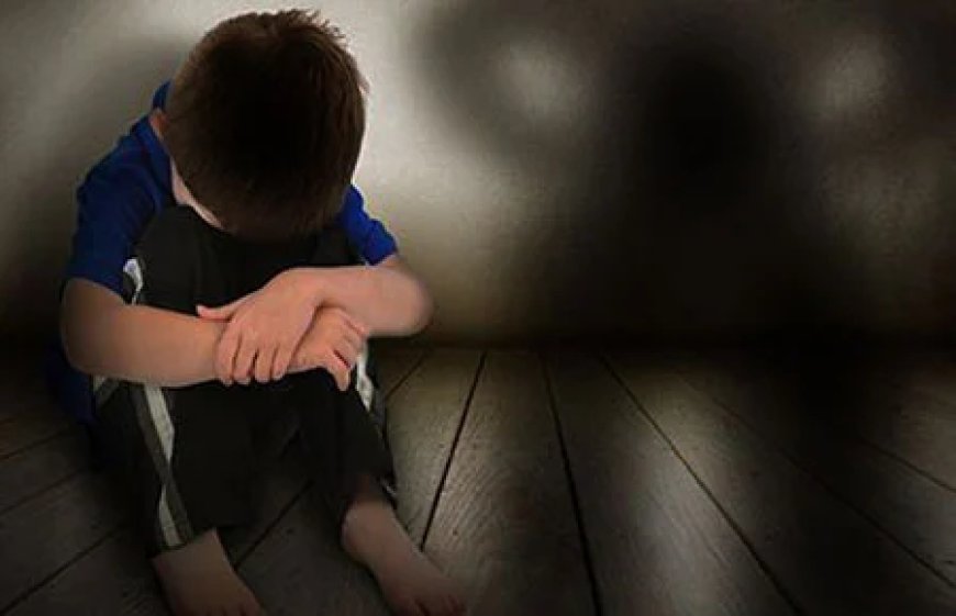 Enviaron A La Cárcel Al Portero De Una Unidad Educativa De Tarija Por Presunta Violación A Un Niño
