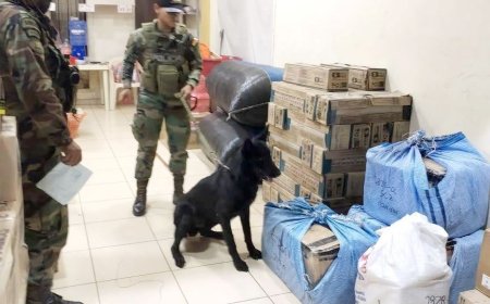 ‘Tango’, el can antidrogas que evitó el paso de marihuana en Cochabamba.