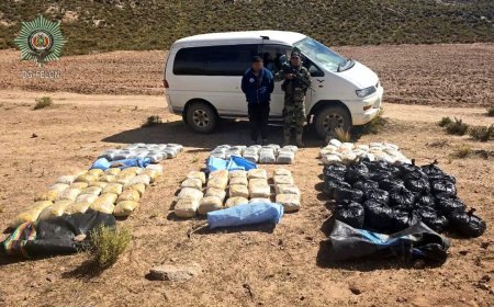 F.E.L.C.N. intercepta furgoneta con cargamento de marihuana en la ruta Uyuni–Challapata.