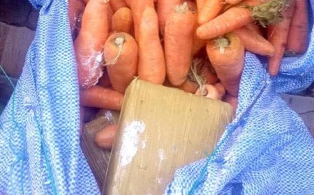Secuestran marihuana camuflada en bolsas de papa y zanahoria en El Alto