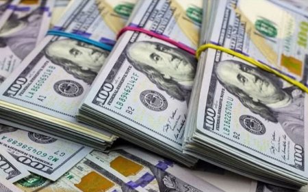 Luis Arce anuncia que YPFB ya no podrá utilizar activos virtuales.