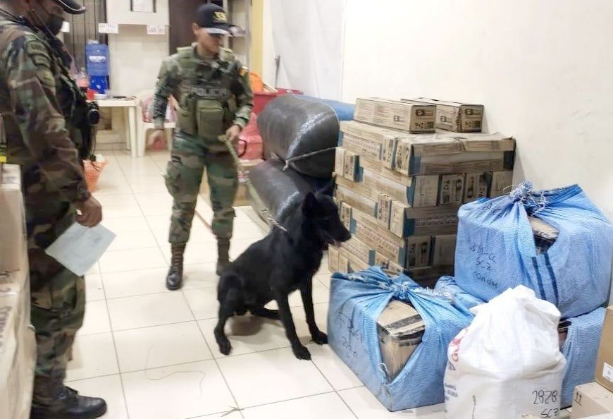 ‘Tango’, el can antidrogas que evitó el paso de marihuana en Cochabamba.