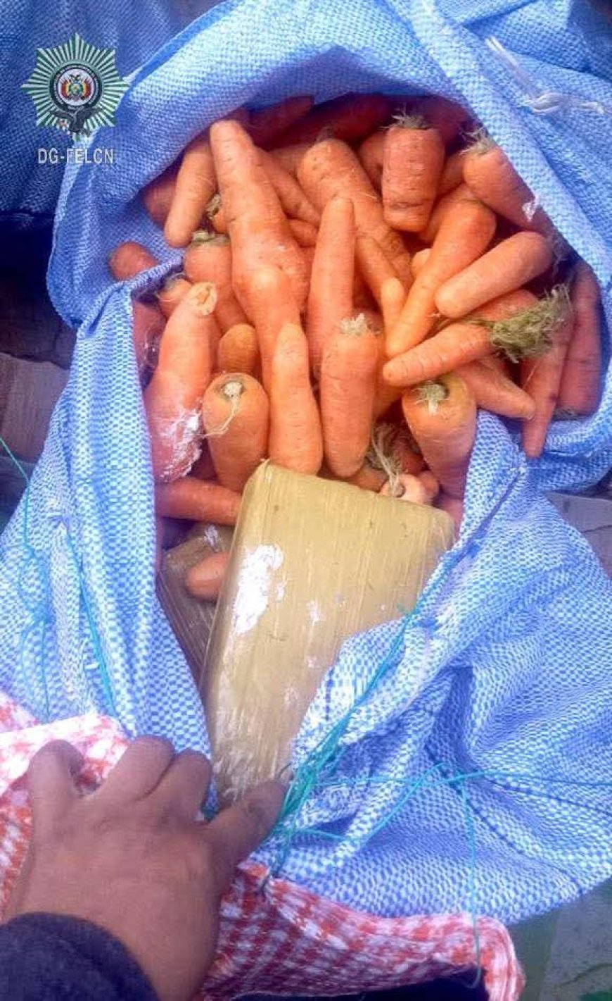 Secuestran marihuana camuflada en bolsas de papa y zanahoria en El Alto