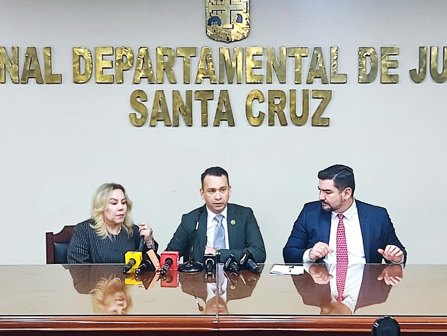 El Tribunal Supremo De Justicia Denuncia Intento De Golpe Al Órgano Judicial En Bolivia