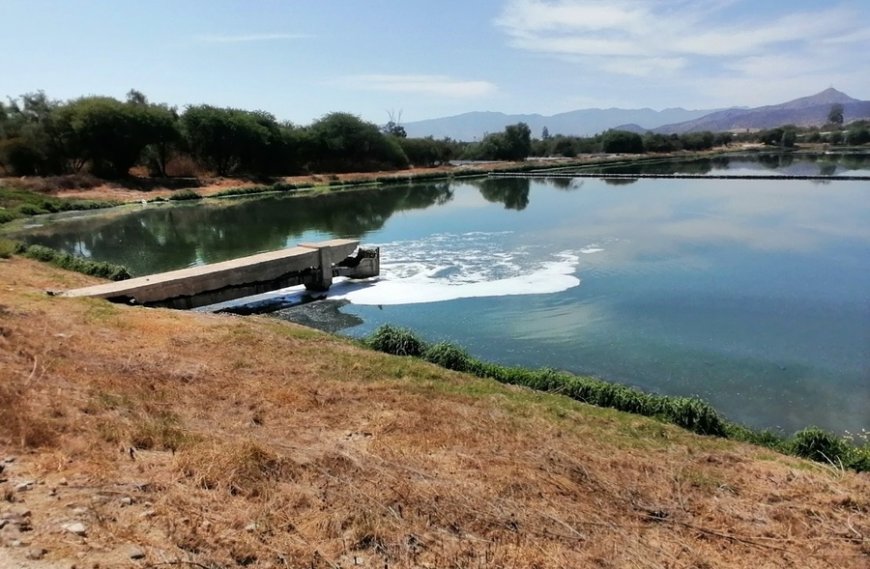 COSAALT denuncia obstaculización para cumplir con la limpieza de lagunas de oxidación en Tarija