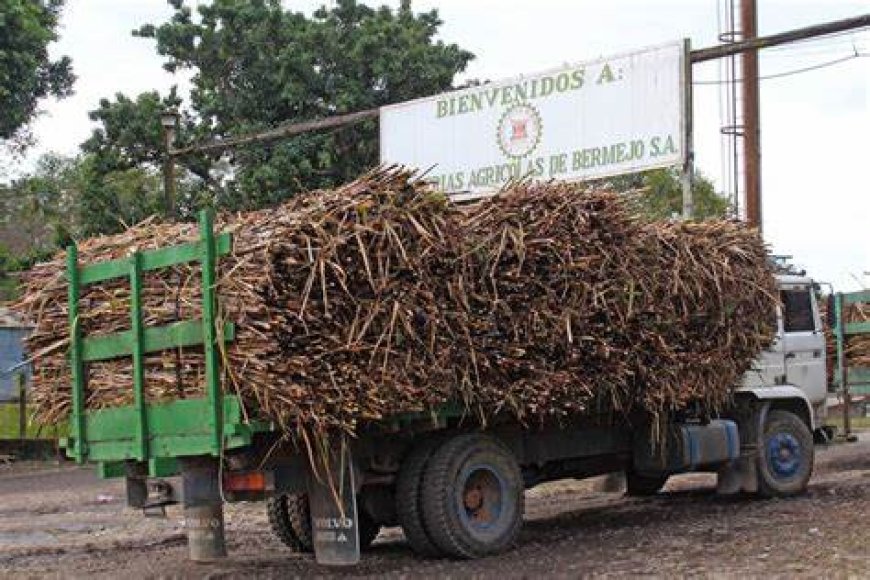 Peligra la zafra azucarera en Bermejo y se agrava el impacto económico en la región.
