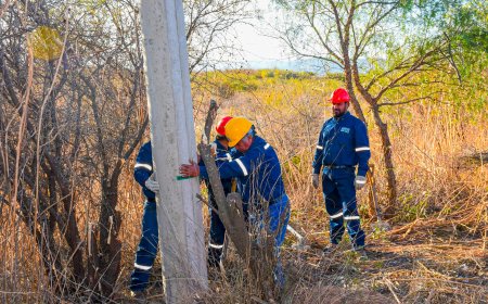 Tarija refuerza su red eléctrica: Gobernador inició construcción de Línea de Media Tensión entre San Mateo y Sella