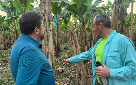 Samuel Doria Medina desde el Chapare: 'Hay otro camino, libre de violencia y narcotráfico'.