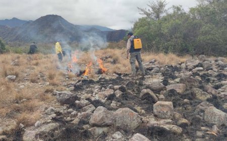 Nuevamente un incendio en San Pedro de Sola alerta a los comunarios, quienes denunciaron presencia de posibles autores desconocidos.
