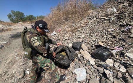 Secuestran marihuana a orillas del río Huayculli en Quillacollo abandonadas en diferentes bolsas