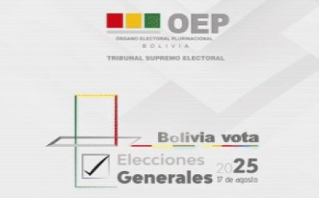 Capturas de referencia