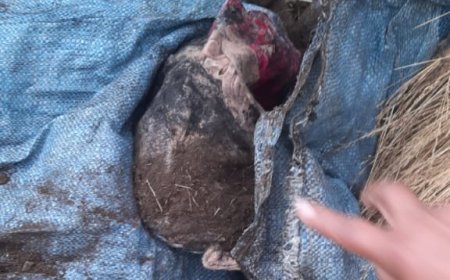 UN SUJETO HABRÍA VIOLADO A SU HIJA Y QUITADO LA VIDA A SU NIETA RECIÉN NACIDA.