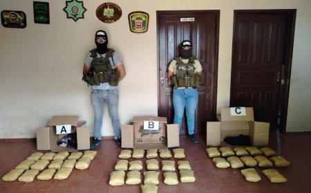 UMOPAR secuestra marihuana en la terminal de buses de la provincia Germán Busch