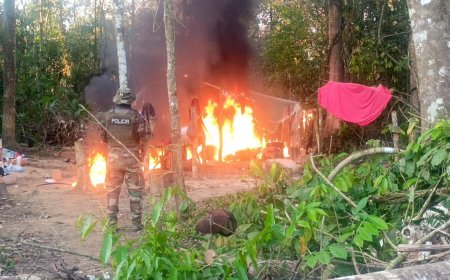 UMOPAR destruye 18 toneladas de marihuana en Yapacaní