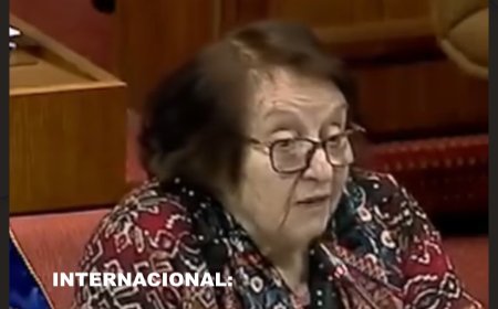 ‘Tienen poco oxígeno en el cerebro’, Diputada chilena insulta a bolivianos por propuesta referida a ‘autos chutos’