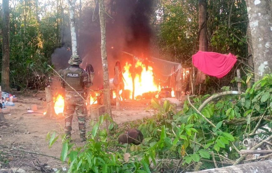UMOPAR destruye 18 toneladas de marihuana en Yapacaní