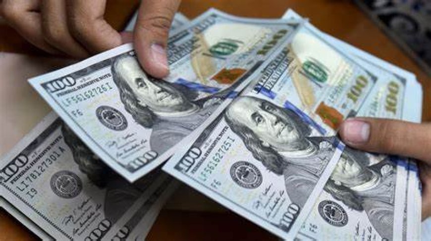 Mercado paralelo: dólar físico y digital presentan variaciones este 11 de septiembre