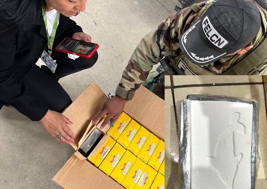 La policía encontró clorhidrato de cocaína transportado como encomienda de La Paz a Tarija.