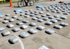 Fiscalía y FELCN secuestran más de 200 kilos de marihuana en Tarija