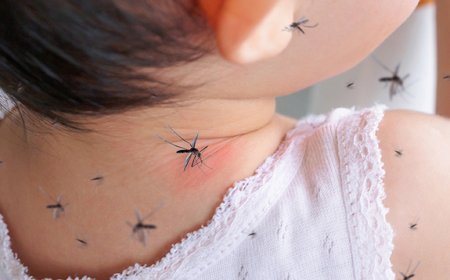 SEDES Tarija confirma casos de COVID, hantavirus y hepatitis B en el departamento