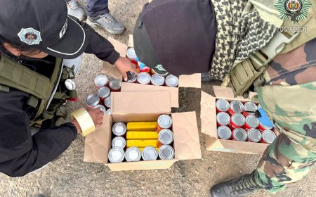 FELCN secuestra paquetes de cocaína camuflados en latas de sardinas.