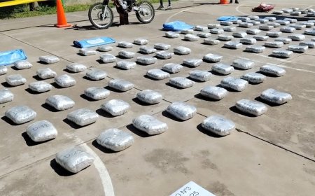 Fiscalía y FELCN secuestran más de 200 kilos de marihuana en Tarija