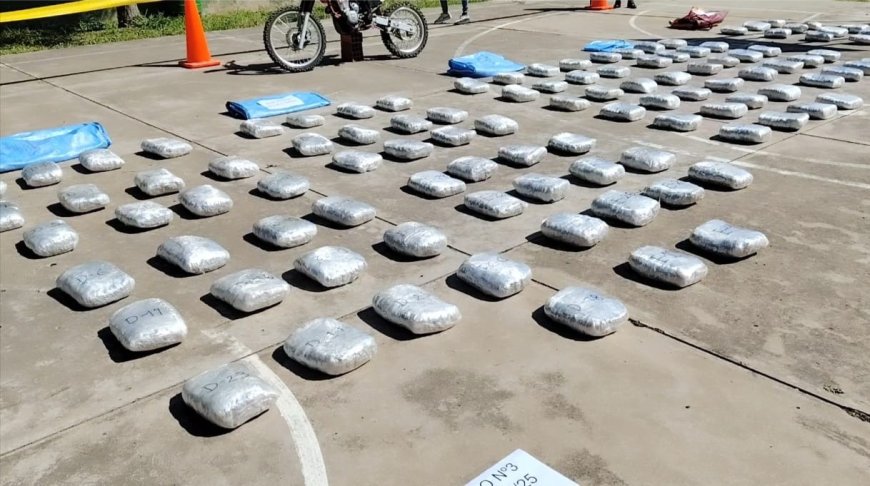 Fiscalía y FELCN secuestran más de 200 kilos de marihuana en Tarija