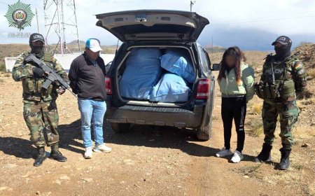 Dos aprehendidos por transportar marihuana en la ruta Potosí–Tarija