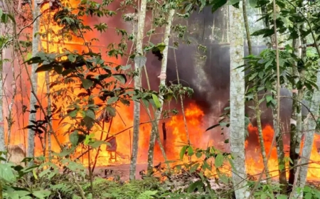 Golpe al narcotráfico en el Chapare: UMOPAR destruye 18 fábricas móviles y elimina más de 3 mil litros de pasta base.