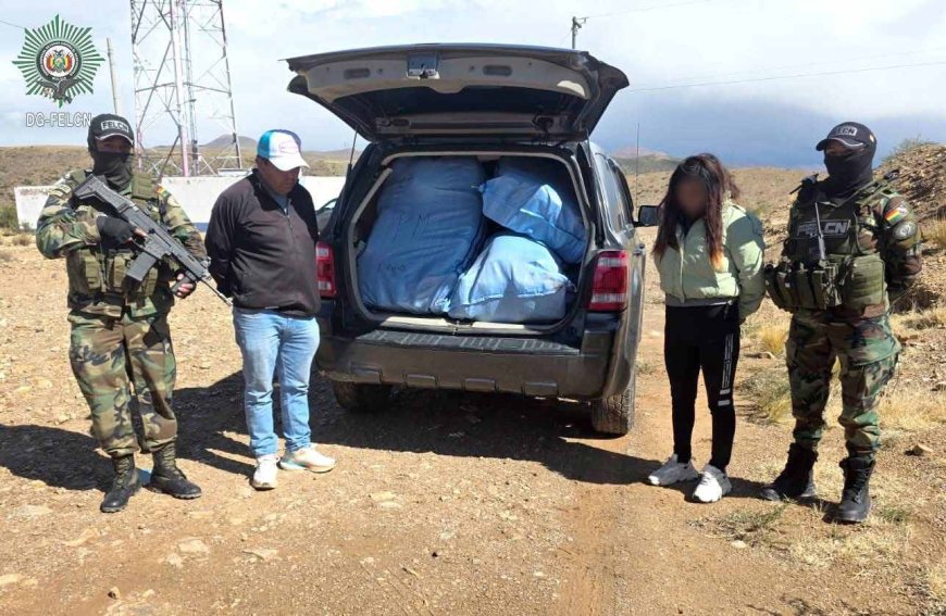 Dos aprehendidos por transportar marihuana en la ruta Potosí–Tarija