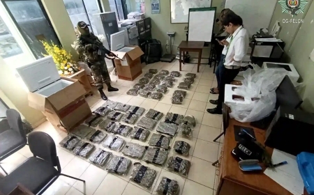 Secuestran 50 Paquetes De Marihuana Ocultos En Frigobares Enviados Por Encomienda