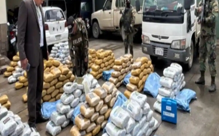 Hallan Más De Dos Toneladas De Marihuana En Una Choza En Quillacollo