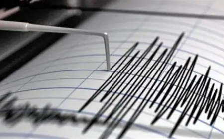 Un Sismo de magnitud 5.3 sacudió a la provincia Luis Calvo del departamento de Chuquisaca