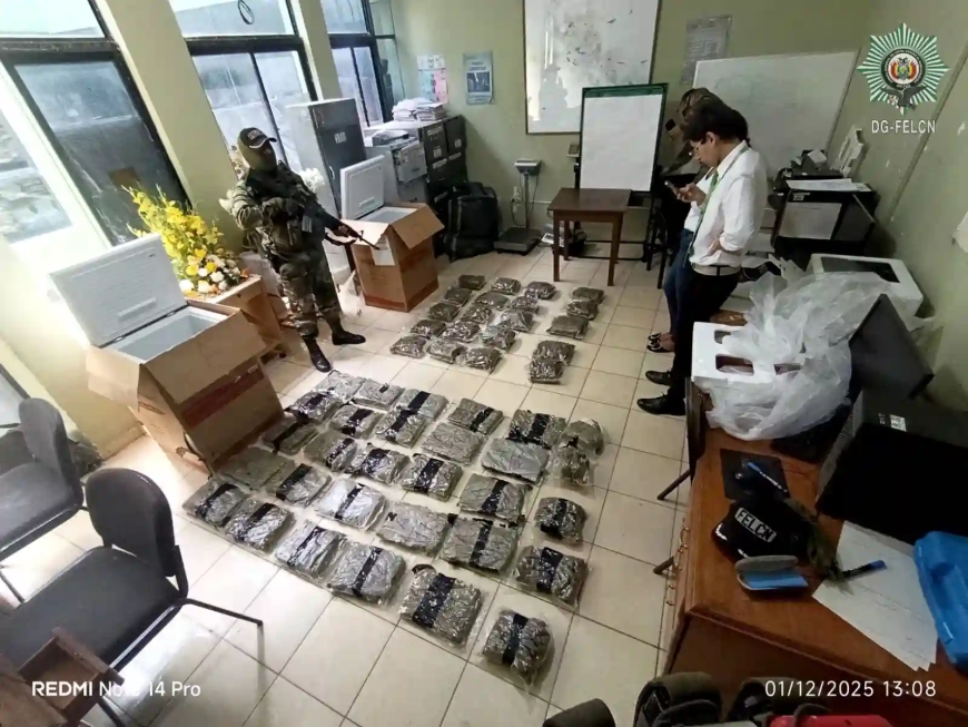 Secuestran 50 Paquetes De Marihuana Ocultos En Frigobares Enviados Por Encomienda