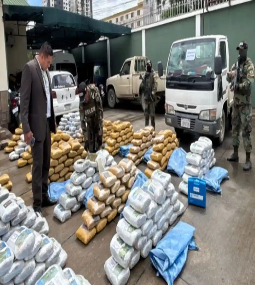 Hallan Más De Dos Toneladas De Marihuana En Una Choza En Quillacollo