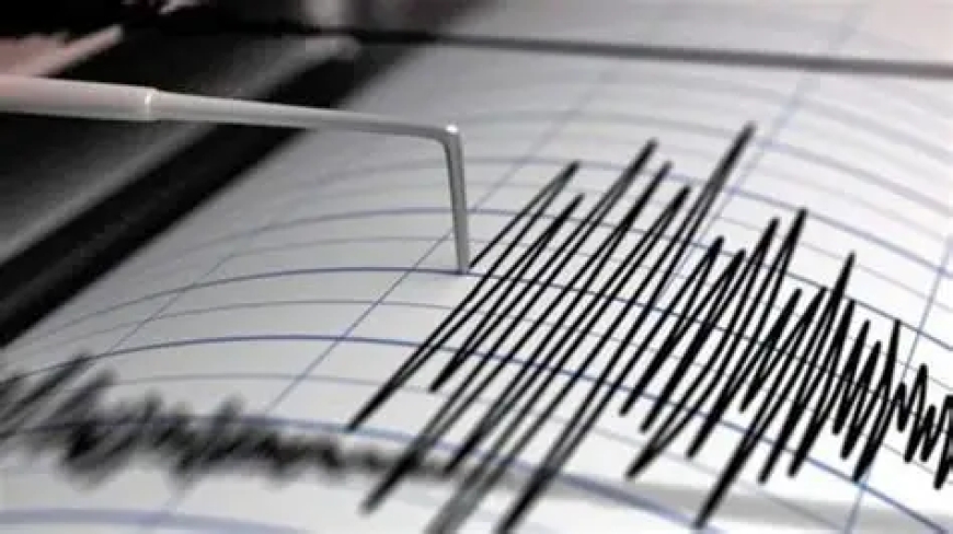 Un Sismo de magnitud 5.3 sacudió a la provincia Luis Calvo del departamento de Chuquisaca
