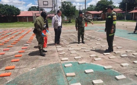 Incautan más de 600 kilos de cocaína en San Ramón - Beni.