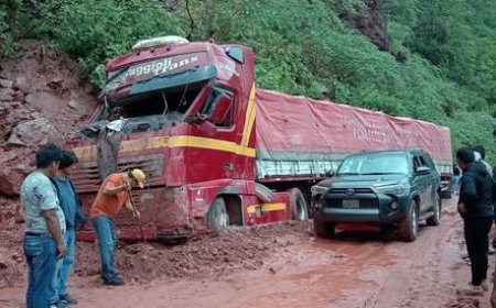 Derrumbes inmovilizan un camión en el angosto y genera preocupación por la seguridad vial