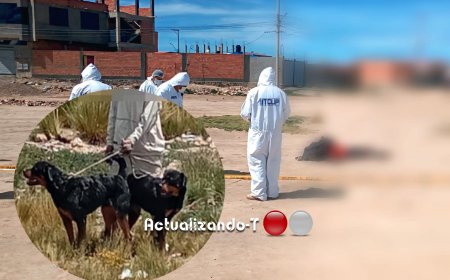Ataque mortal con perros en Oruro deja tres niños en la orfandad.