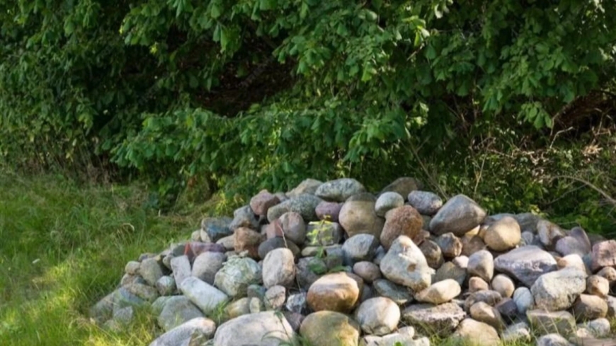 Una Adolescente dio a luz en la calle y golpeo a su bebé hasta quitarle la vida