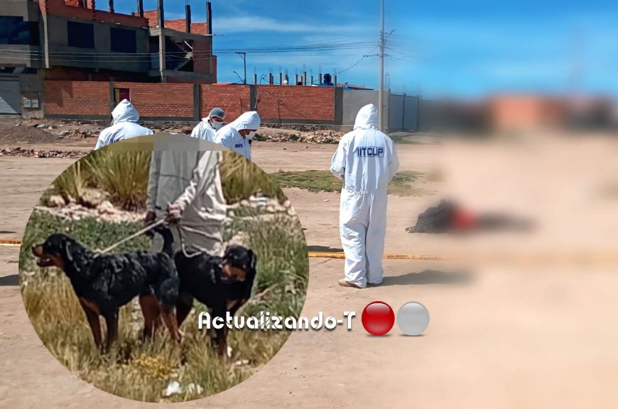 Ataque mortal con perros en Oruro deja tres niños en la orfandad.