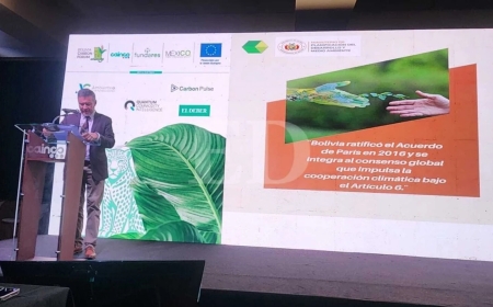 Bolivia reconoce un rezago de 20 años en el mercado de bonos de carbono