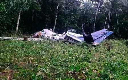 Confirmaron el fallecimiento de pilotos tras accidente de aeronave que perdió contacto en pleno vuelo