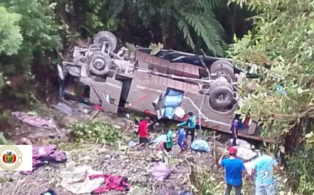 Tragedia en la ruta La Paz–Apolo deja seis muertos y activaron puente aéreo de emergencia.