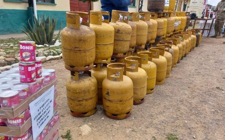 Decomisaron 555 garrafas de GLP en operativos contra el contrabando fronterizo durante 2026