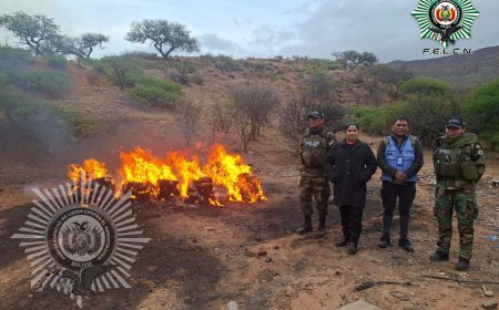 Incineran más de 151 kilos de marihuana incautada en Tarija