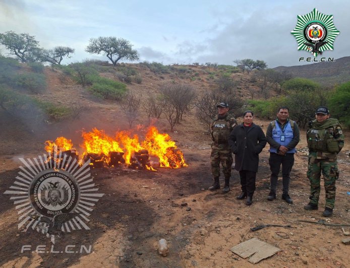 Incineran más de 151 kilos de marihuana incautada en Tarija